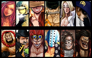 One Piece characters illustration