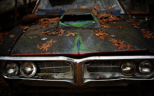 brown and green vehicle, car, vehicle, Pontiac, leaves