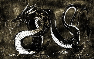 black and white dragon painting, dragon