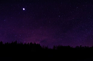 silhouette of trees under starry night, stars, silhouette, night sky