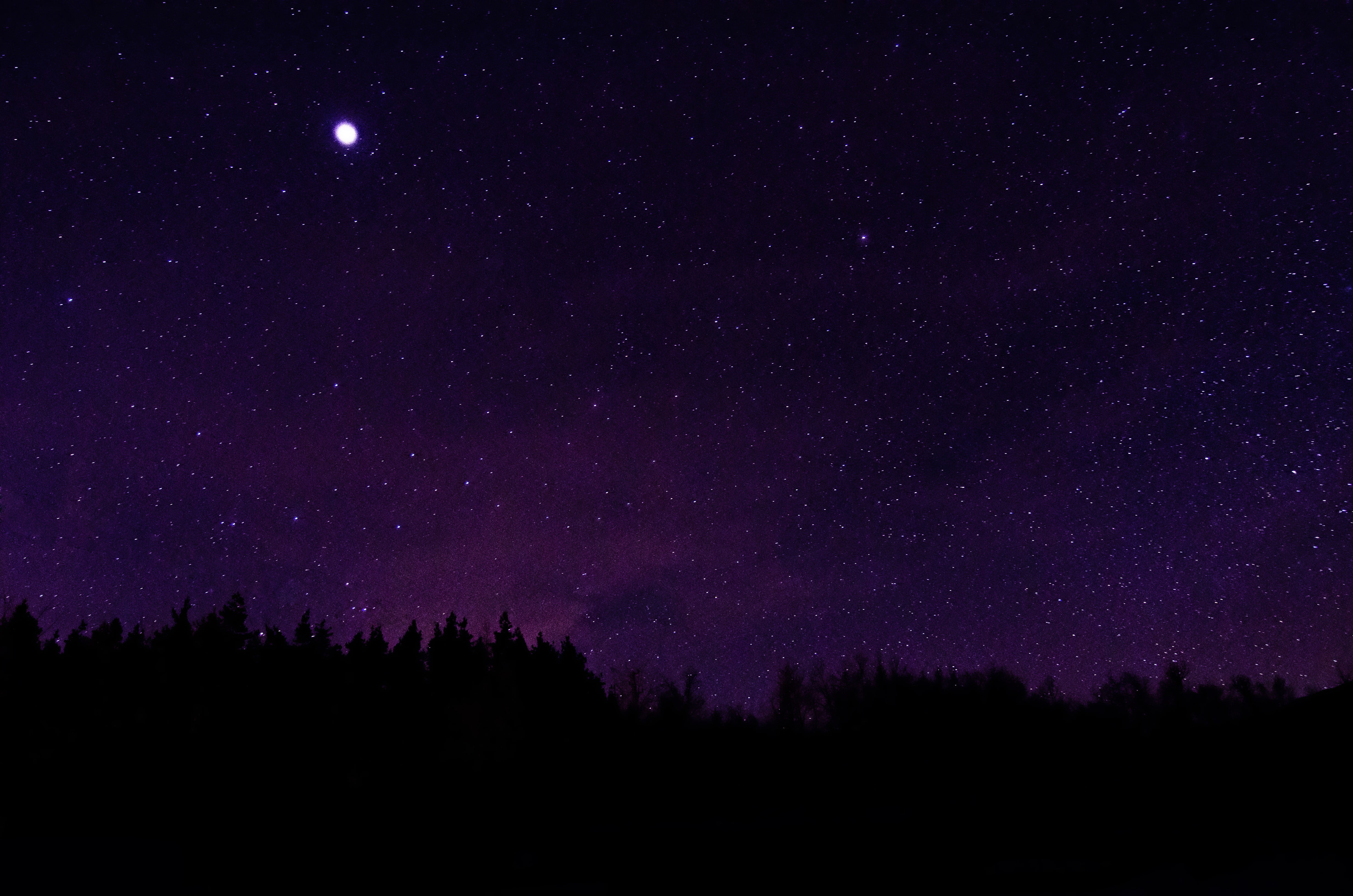 Starry Sky Trees Silhouettes Night Dark Hd Wallpaper - vrogue.co