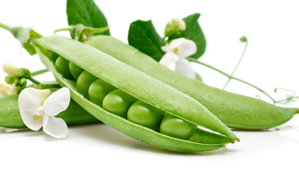 selective focus photography of green peas HD wallpaper