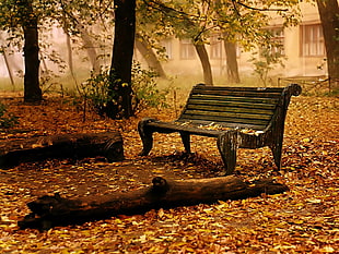 photo of brown wooden bench during golden hour