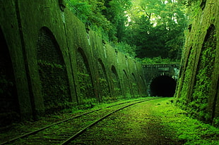 brown train tunnel, abandoned, railway, tunnel