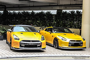 two yellow Nissan GTR R-35, car, Nissan, yellow cars
