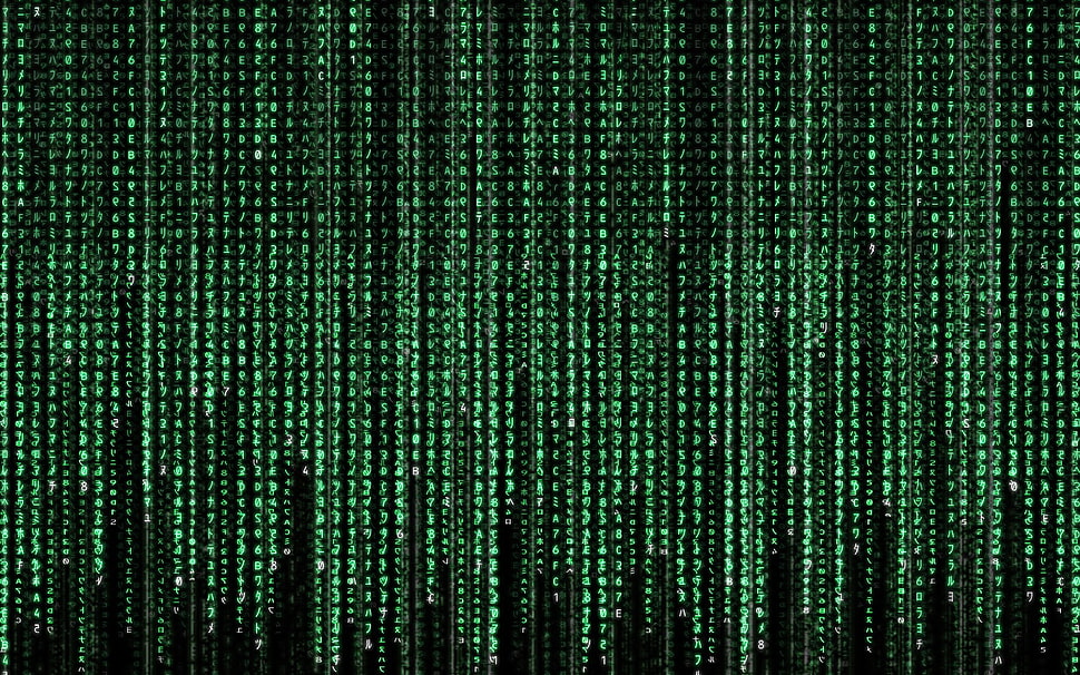 matrix code HD wallpaper