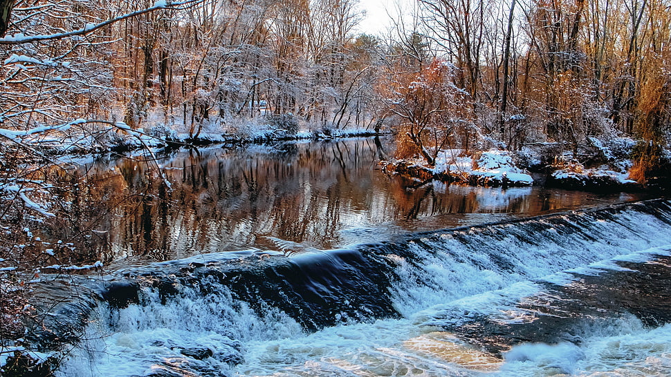 river cascading between trees during daytime HD wallpaper
