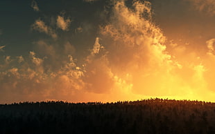 silhouette of trees under white clouds at sunset