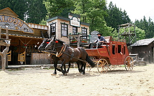 man in cowboy dress riding carousel