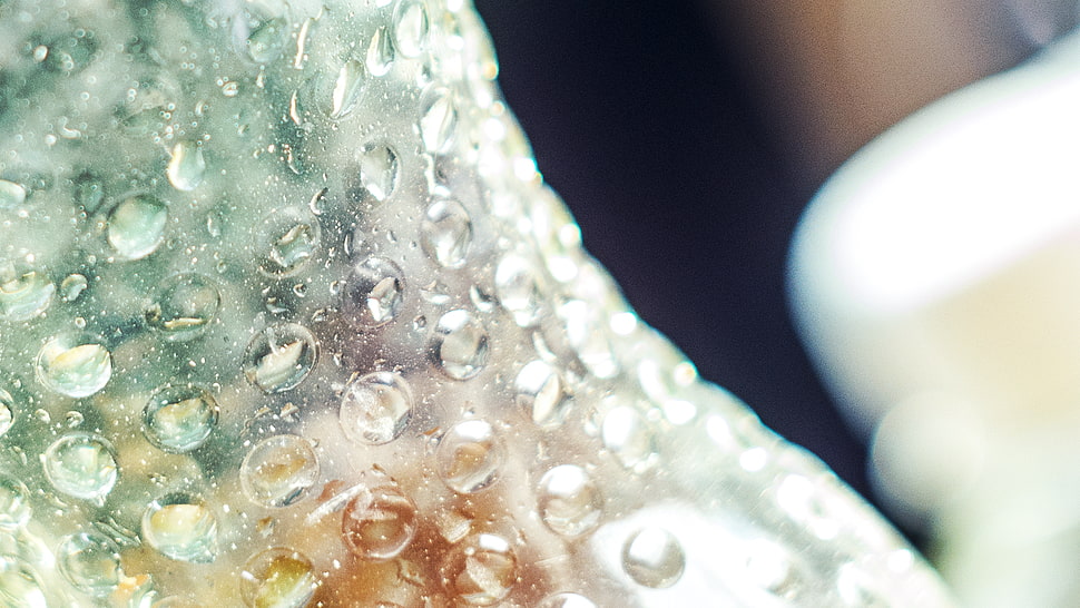clear glass bottle, macro, wet, simple HD wallpaper
