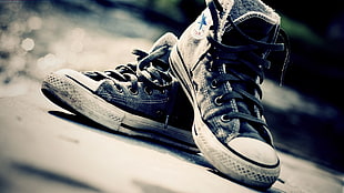 pair of black Converse low top sneakers, shoes, Converse HD wallpaper