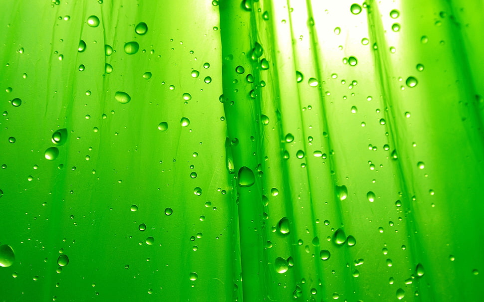 water drops on green plastic HD wallpaper
