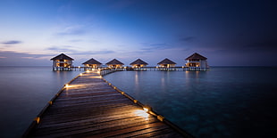 brown wooden dock, Maldives, resort, artificial lights, walkway HD wallpaper