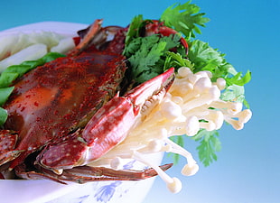 crab with vegetables HD wallpaper