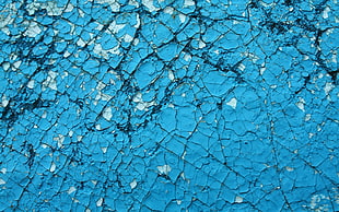blue and white paint close-up photo