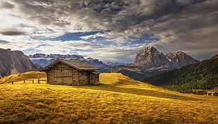 brown cabin, nature, photography, landscape, hut HD wallpaper