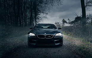 black BMW car near tall trees