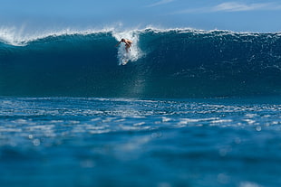 surfboard, sports HD wallpaper