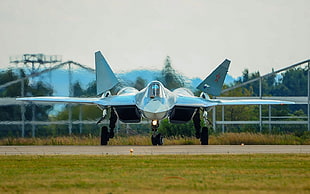 gray fighter jet, Sukhoi T-50, Sukhoi PAK FA