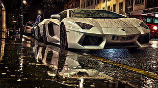 white Lamborghini Aventador, Lamborghini Aventador, Lamborghini, car, white HD wallpaper