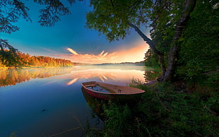 brown canoe, nature, landscape, abandoned, boat