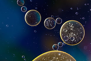 microscopic photography of bubbles HD wallpaper