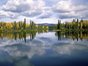 lake and trees under cumulus clouds