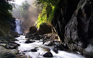 waterfall surrounded by trees