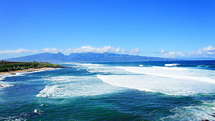 white sand beach, tropical water, tropical forest, Hawaii, isle of Maui HD wallpaper