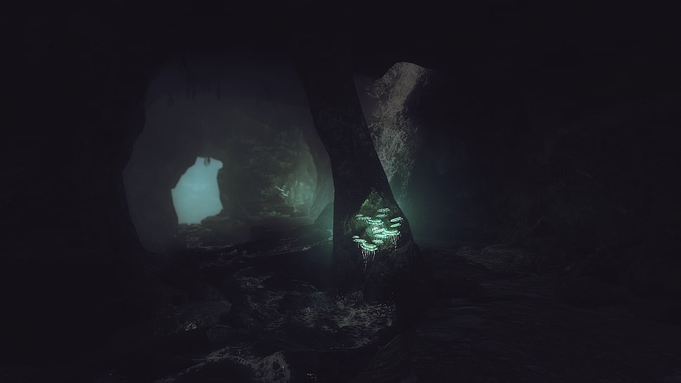 cave, The Elder Scrolls V: Skyrim, video games, cave HD wallpaper