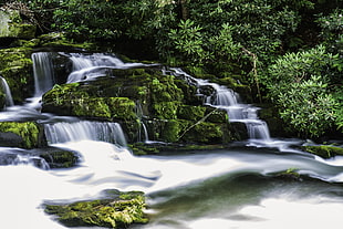 hidden waterfall inside forest