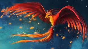 phoenix wallpaper, phoenix HD wallpaper