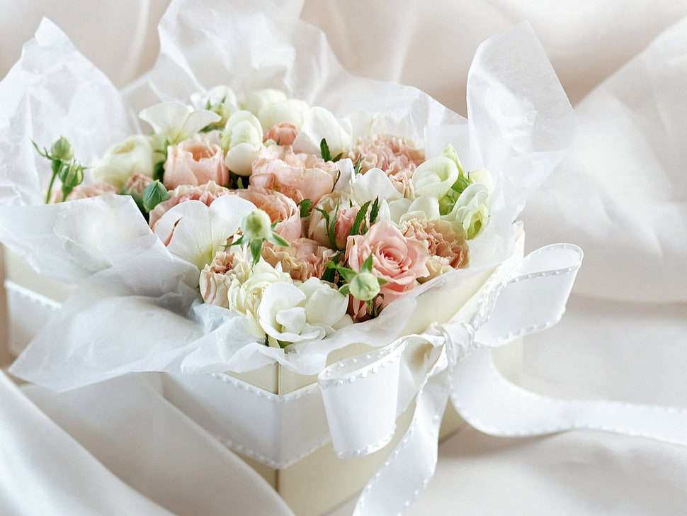 pink and white bouquet of flower HD wallpaper
