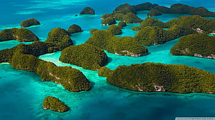 islands, sea, island HD wallpaper
