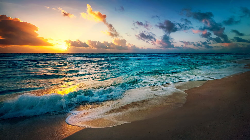 brown sand beach, beach HD wallpaper