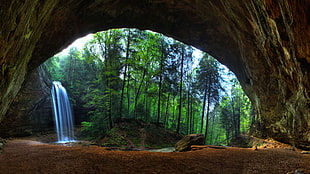 waterfalls near trees and cave during day, nature, landscape, trees, forest