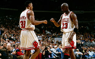 Michael Jordan and Scottie Pippen fist bump
