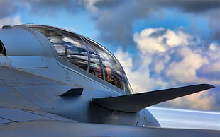 gray jet, aircraft, JAS-39 Gripen