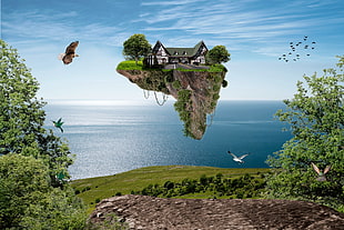 floating island with house above the sea during daytime HD wallpaper