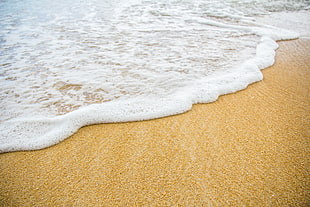 photo of seashore