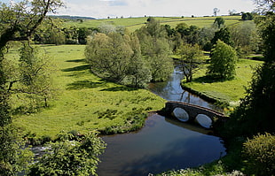 landscape photography of grassland with river and stone bridge during daytime