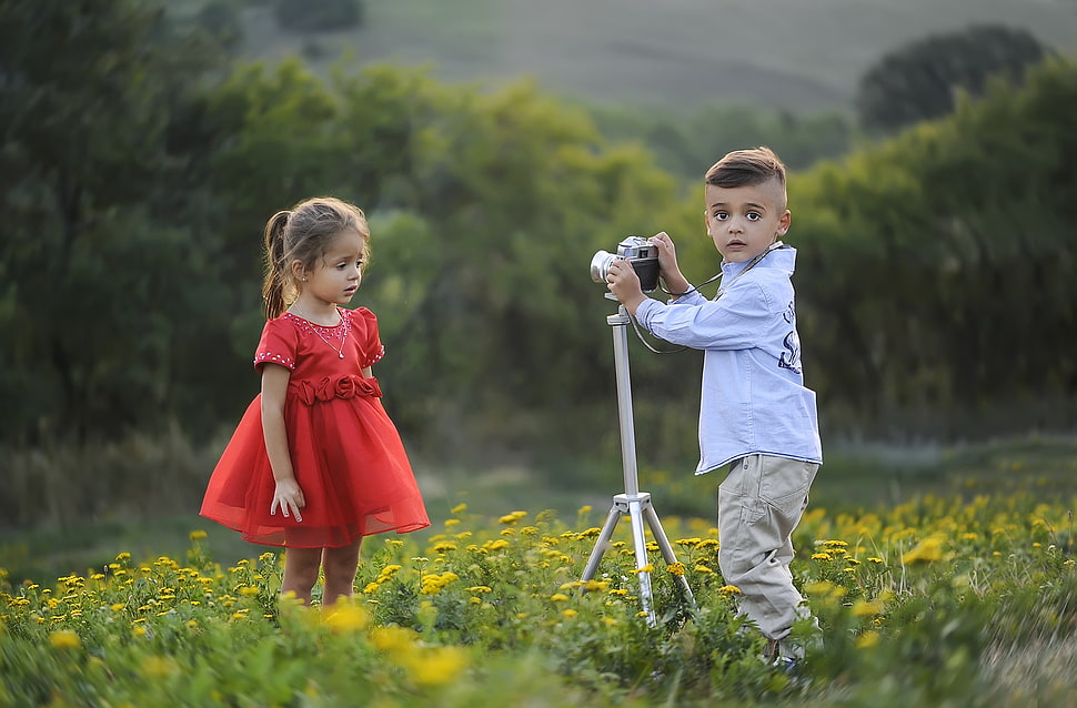 girl wearing red dress and boy wearing white dress shirt and pants holding camera with tripod at yellow flower field during daytime HD wallpaper