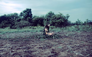 woman sitting on soil beside trees during daytime