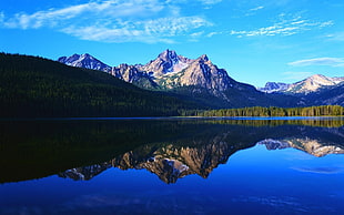 reflection of mountain and trees photo