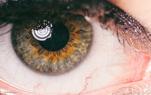 macro photography of human's eye HD wallpaper