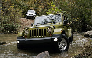 green Jeep Wrangler, Jeep, car, vehicle, nature