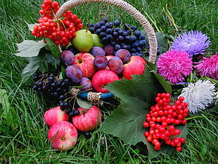 brown wicker basket filled with variety of fruits