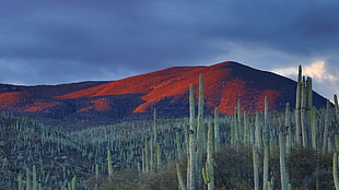 landscape of mountain, nature, landscape, clouds, Mexico HD wallpaper