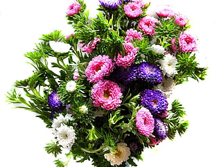 Chrysanthemum,  Bouquet,  Bright,  Colorful HD wallpaper