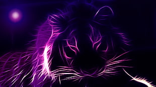 purple neon LED tiger, tiger HD wallpaper